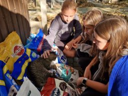 b_1024_768_0_00_images_2023_2024_Ochmanski_Schronisko_383347269_781102083817742_3431766305250452510_n